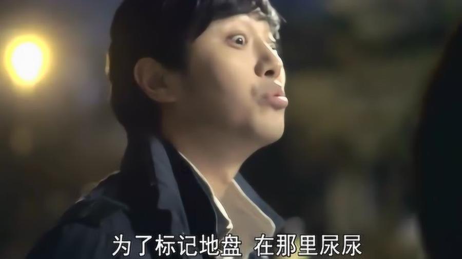 厉害了我的巧虎7